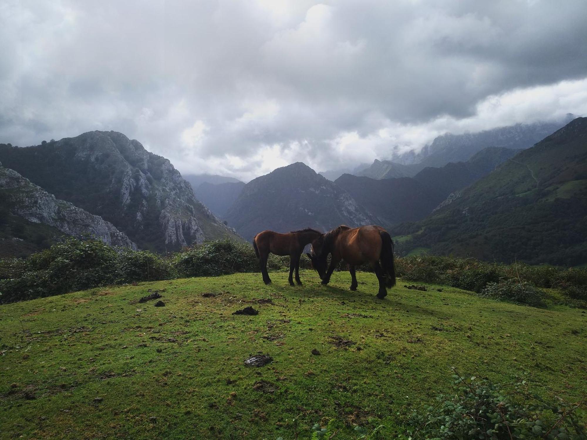 Belenos Alojamientos Turisticos Ньембро Экстерьер фото